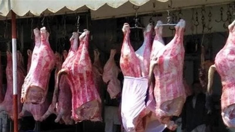 أسعار اللحوم اليوم