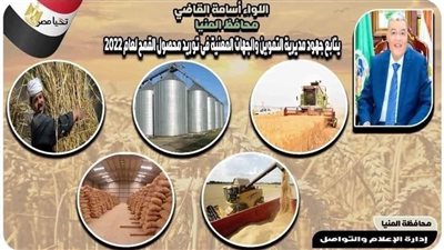 شون وصوامع المنيا تستقبل 467 ألف طن قمح