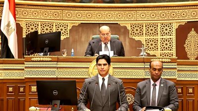 رئيس رياضة الشيوخ: دعونا 14 رئيس ناد للمشاركة في تعديلات القانون 