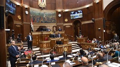 بعد موافقة الشيوخ عليه مبدئيا.. تعرف على تعديلات قانون الرياضة 