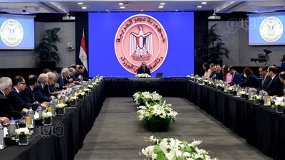 الخروج الآمن.. 3 أبعاد أساسية تراعيها الحكومة قبل الانسحاب من بعض الاستثمارات