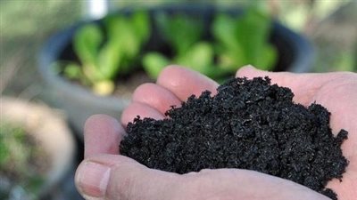 تحويل النفايات لمادة مغذية للغابات