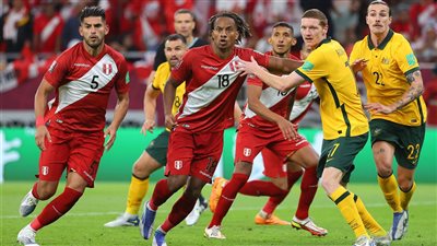بعد بنزيما.. لاعب جديد يغيب عن كأس العالم في قطر للإصابة 