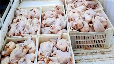 مصادرة 1.5 طن دواجن فاسدة داخل مطعم شهير للوجبات الجاهزة بالقاهرة