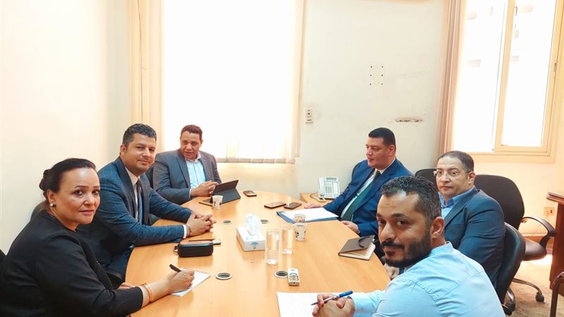 اللجنة الاستشارية