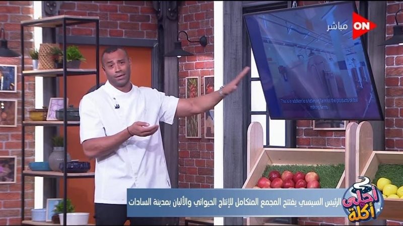 علاء الشربيني