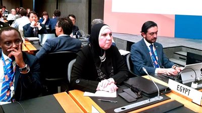 نيفين جامع: دور محوري للتجارة للحد من التغيرات البيئية وتعزيز التحول الأخضر