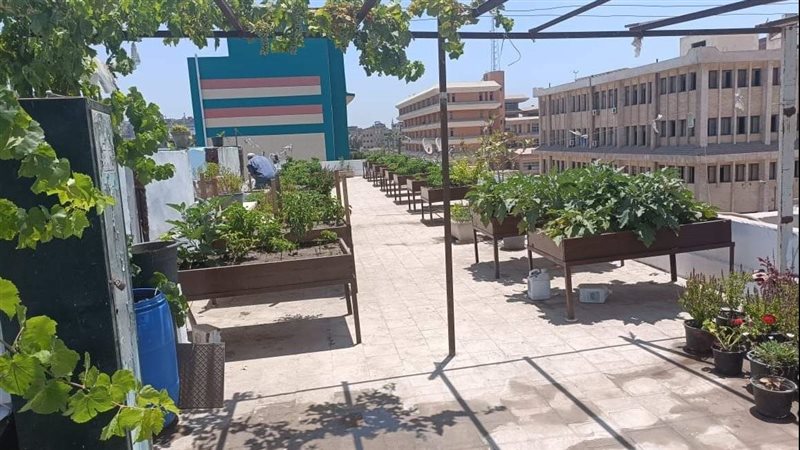 مدارس جمعية هيئة