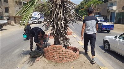 رفع 10 أطنان مخلفات من عزبة الفوكس بترسا | صور