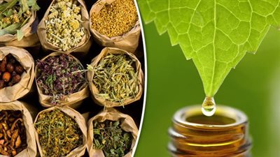 خناقة بين هيئتي 