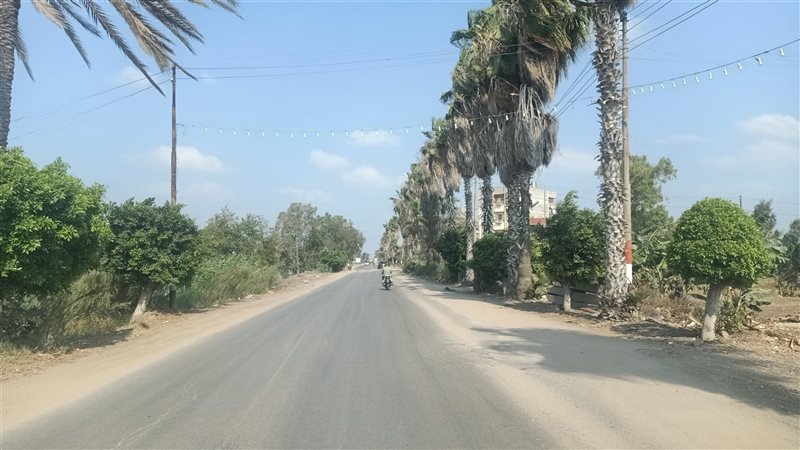 طقس الدقهلية ارشيفية