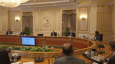 تصميم منظومة إلكترونية تابعة لمجلس الوزراء تتلقى المشكلات من المستثمرين 