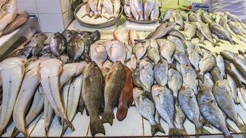 الأسماك 
