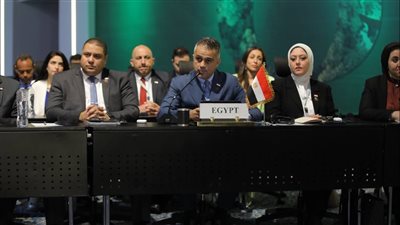 نائب: المجتمع المدني يلعب دورًا هامًا في قضية تغير المناخ 