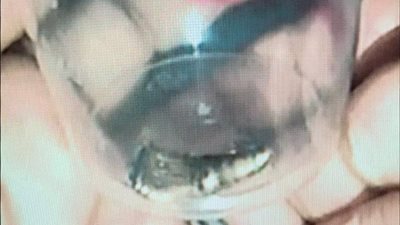 من النوع الخارق للدروع.. مواقع فلسطينية تنشر صورة الرصاصة التي قتلت الصحفية شيرين أبوعاقلة