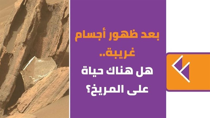 كوكب المريخ