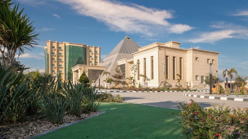 جامعة النهضة 