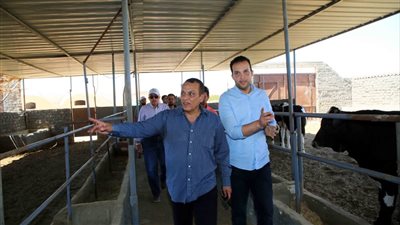 الريف المصري تعلن عن دعم مشروعات الإنتاج الحيواني بنسبة 50%