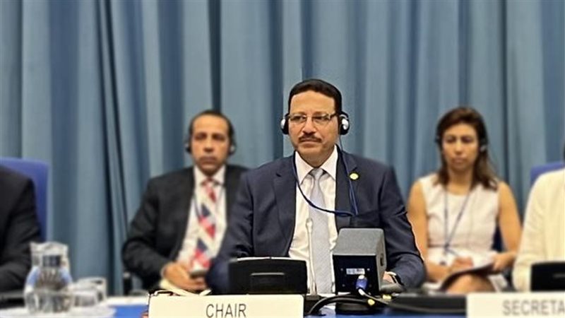 الوزير حسن عبد الشافي