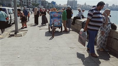 حالة الطقس غدا الأحد 19-6-2022 فى الإسكندرية