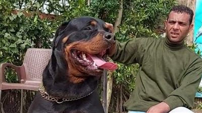 حياته بين أشرس أنواع الكلاب.. حسين البشبيشي عاشق تربية الحيوانات بالبحيرة | فيديو وصور