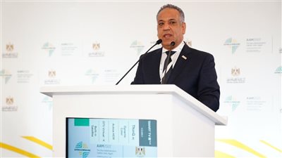 الشرقاوي: القطاع الخاص لديه مقومات التوسع في التجارة مع أفريقيا 