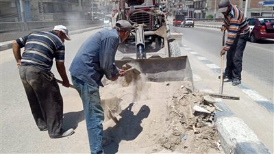 رفع 300 طن قمامة وأتربة من الشوارع وميادين الدقهلية 