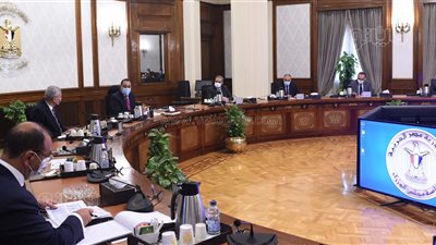 مدبولي يبحث إجراءات تيسير استيراد الأدوية والمستلزمات الطبية المطلوبة