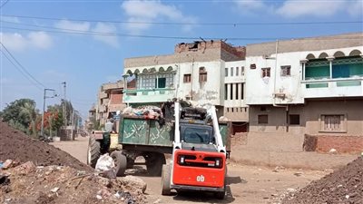 حملات نظافة وتجميل في 7 مراكز بالدقهلية | صور 