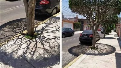 غدا.. ظاهرة غريبة تحدث في السعودية وعدد من الدول العربية