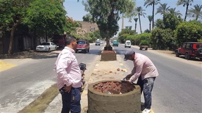 دهان أحواض طريق مصر أسيوط الزراعي | صور