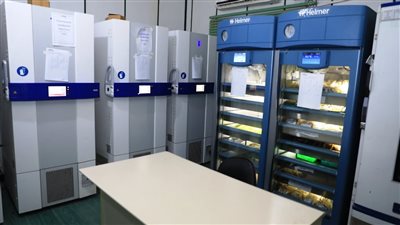  6 معلومات عن المركز الإقليمي لنقل الدم بسوهاج