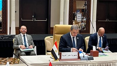 مصر تحصل علي 100% من أصوات عضوية المجالس الاقتصادية والاجتماعية بالجزائر