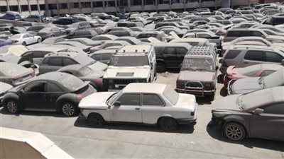 20 مليون جنيه حصيلة بيع بضائع وسيارات جمارك الإسكندرية والدخيلة