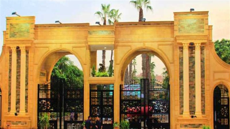 جامعة المنصورة
