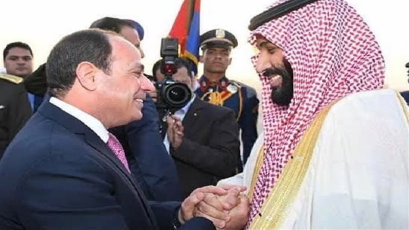 الرئيس السيسي وولي
