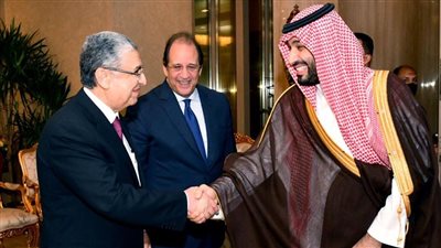 بالأرقام.. حجم التبادل التجاري والاستثمارى بين مصر والسعودية