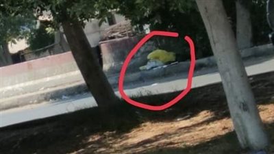 العثورعلى جثة شاب مقتول بالإسماعيلية | صور