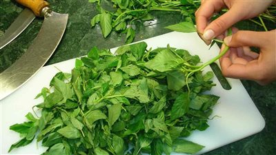 طريقة تخزين الملوخية الخضراء.. بخطوات بسيطة والنتيجة مضمونة