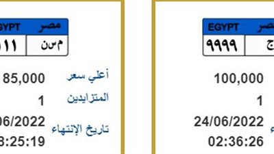 دلع عربيتك.. 