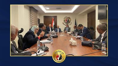 حماة الوطن يعقد اجتماعا تنسيقيا بمحافظات الصعيد