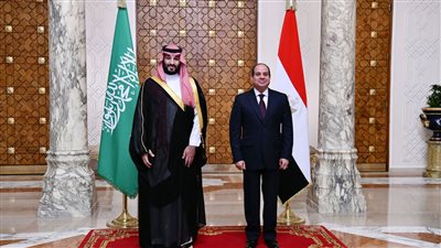  مصر والسعودية يشددان على ضرورة الحفاظ على وحدة وسلامة الأراضي الليبية ودعم دور المؤسسات الليبية