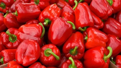 تفسير حلم الفلفل الأحمر في المنام وعلاقته بانتهاء الهموم والأحزان