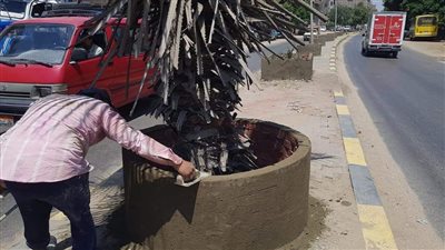 رفع 100 طن مخلفات بمحيط مجمع مدارس ترسا | صور