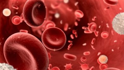 الصحة: زرع النخاع العلاج الجذري لمرض أنيميا البحر المتوسط لكن بشروط