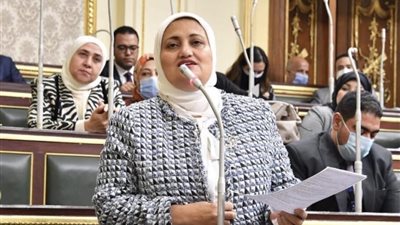 سناء السعيد: الأرقام التقديرية التي وضعتها الحكومة بشأن الموازنة العامة 