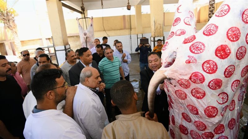 جولة في المجازر بالدقهلية