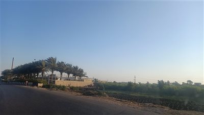 حالة الطقس غدا الخميس 23-6-2022 في الدقهلية