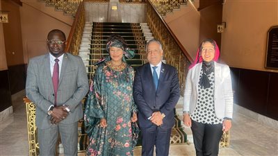 الشرقاوي يؤكد ضرورة التعاون مع القطاع الخاص للدخول في عمق القارة الأفريقية