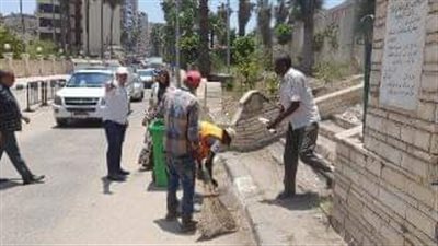 حملات لإزالة الإعلانات العشوائية وغير المرخصة في الدقهلية | صور 